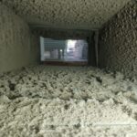 Getting Your Air Ducts Cleaned- What Lurks Beneath